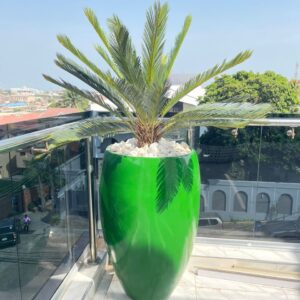 110CM CYCAS PALM POTTED WITH 100CM CLASSIC FIBERGLASS POT