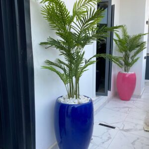 170CM SIX STEM PALM PLANTS POTTED WITH 80CM CLASSIC FIBERGLASS POTS