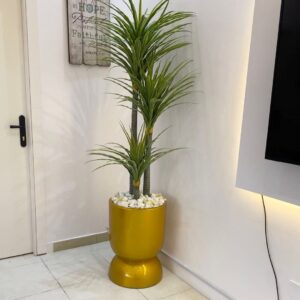 180CM YUCAA PLANT POTTED WITH 60CM TUMBLER FIBERGLASS PLANTER