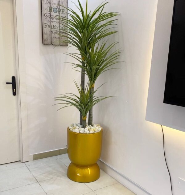 180CM YUCAA PLANT POTTED WITH 60CM TUMBLER FIBERGLASS PLANTER