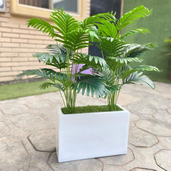 90CM MINI PALM PLANT POTTED WITH 25CM X 40CM TROUGH FIBERGLASS POT