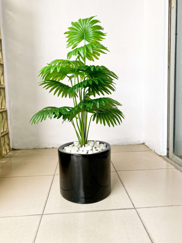 90CM MINI PALM PLANTS POTTED WITH 23CM SMALL WIDE CYLINDER FIBERGLASS POT