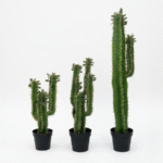 ARTIFICIAL CACTUS PLANT | WHOLESALE OF FAKE PLANTS |ORDER NOW