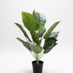 ARTIFICIAL HOUSEPLANTS | GREEN APPLE PLANTS | "Buy Now"