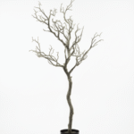 ARTIFICIAL PLANTS AND TREE |BUY DRIED TREE ONLINE IN NIGERIA