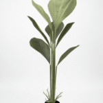 Artificial Fan Palm Tree Leaves | Nigeria Wholesaler Of Fake Plants