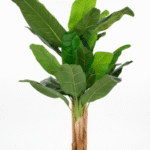 Artificial Indoor Decor Trees/Plants | Faux Three Stem Banana Tree