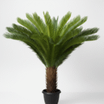 Artificial Indoor Palm Plants | Nigeria Wholesaler Of Fake Plants