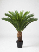 Artificial Palm Cycas Plants For Interior | Bulk Sales Of Fake Plant Nigeria