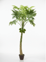 Artificial Papaya Tree For Outdoor Décor
