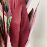 Artificial Plant/Flower For Indoor Decor | Shop Colorful Skybird Plant - Image 4