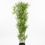 Artificial Plants/Trees Wholesaler In Nigeria | Tiny Bamboo Plants