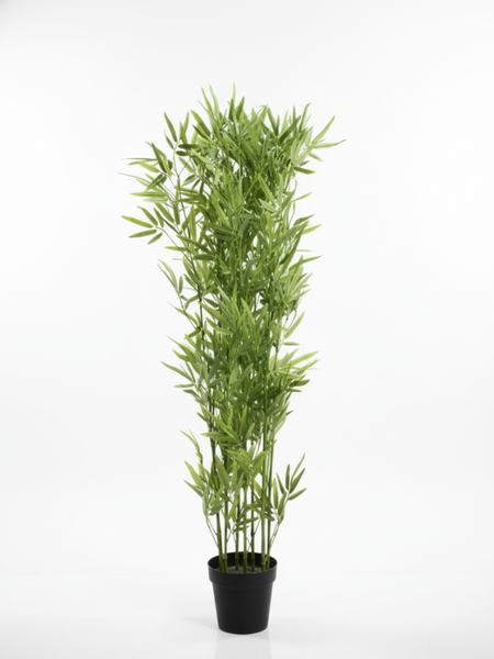 Artificial PlantsTrees Wholesaler In Nigeria Tiny Bamboo Plants