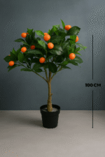 NEW-PLANTS