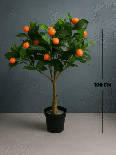 NEW-PLANTS