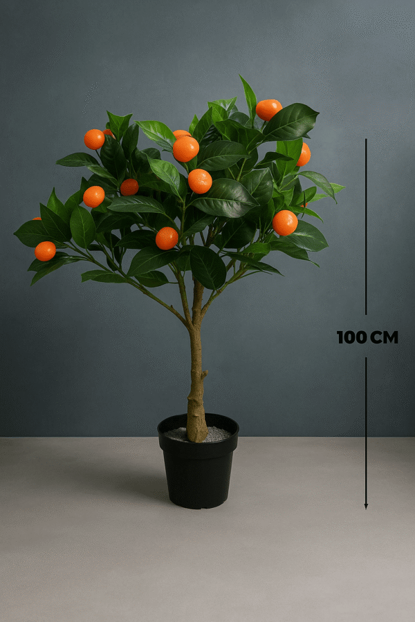 NEW-PLANTS