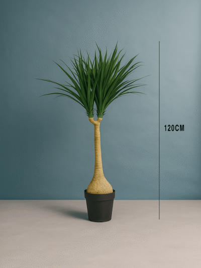 YUCCA PLANTS