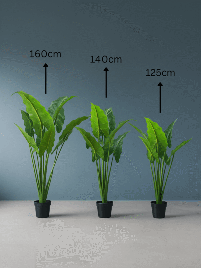 Cocoyam Artificial Plants