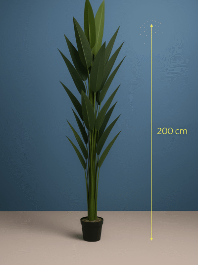 100CM-6.png