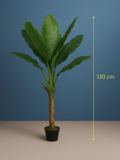 BANANA TREE