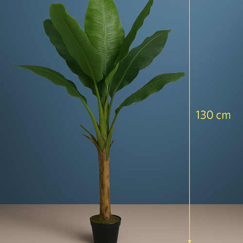 BANANA TREE