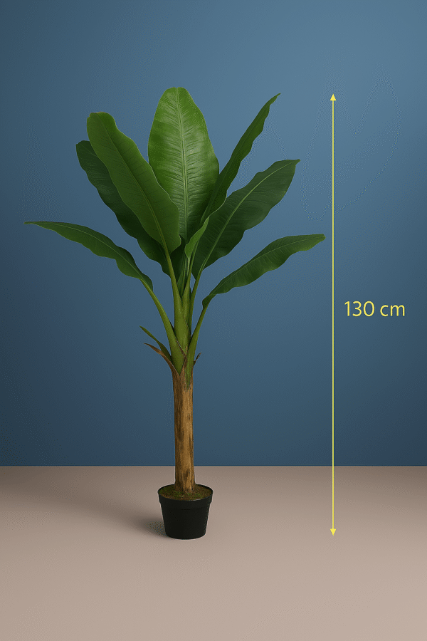 BANANA TREE