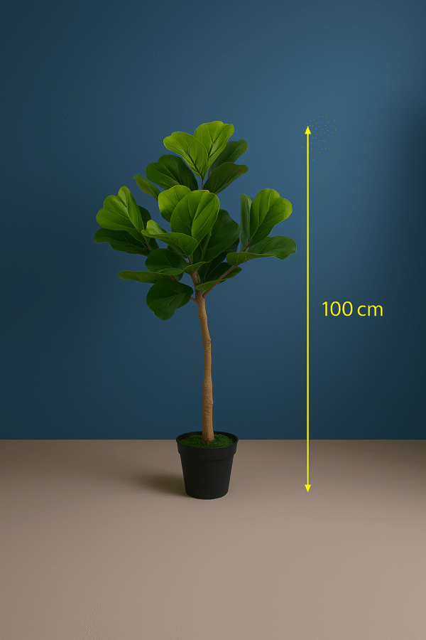 Fiddle leaf