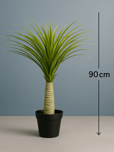 YUCCA PLANTS