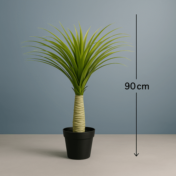 YUCCA PLANTS
