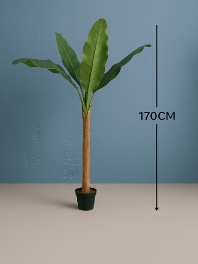BANANA TREE