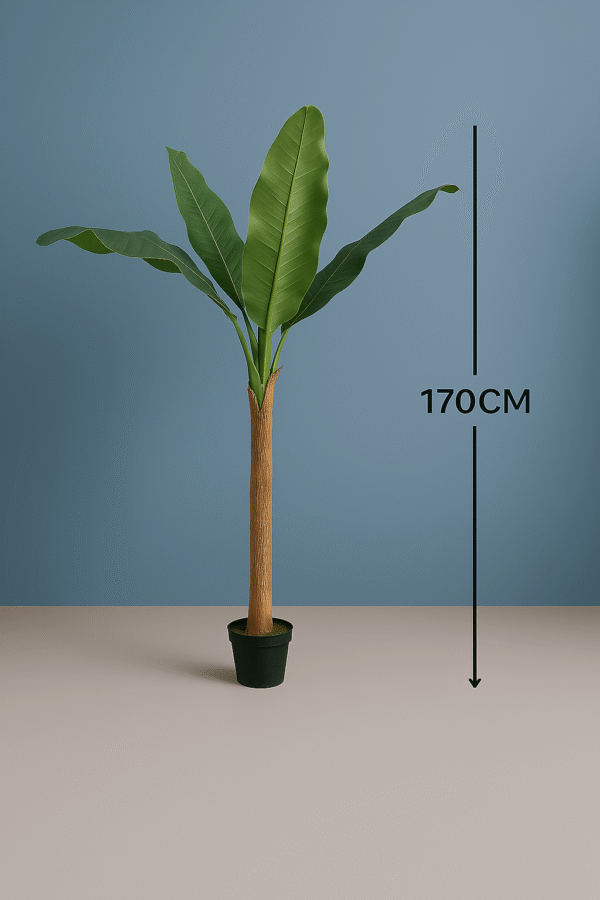 BANANA TREE