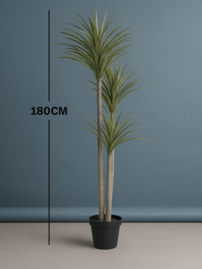 YUCCA PLANTS