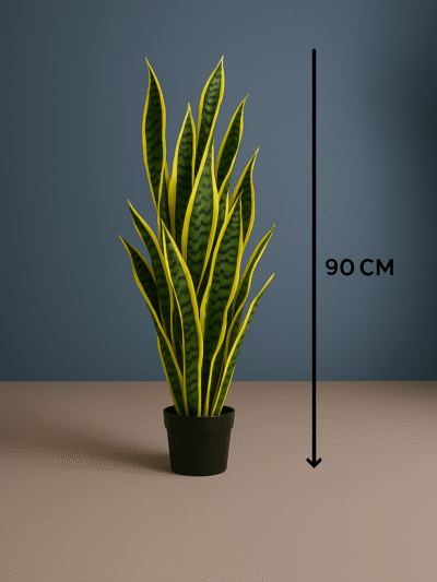 FAKE SNAKE PLANTS