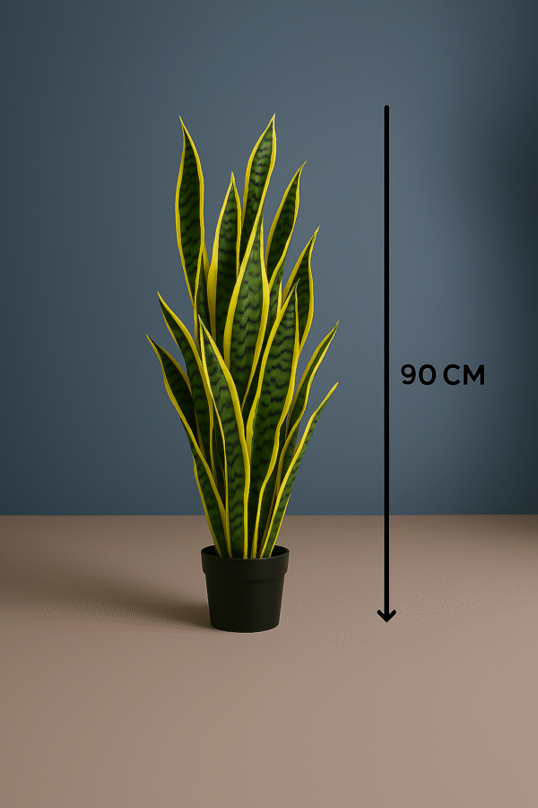 FAKE SNAKE PLANTS