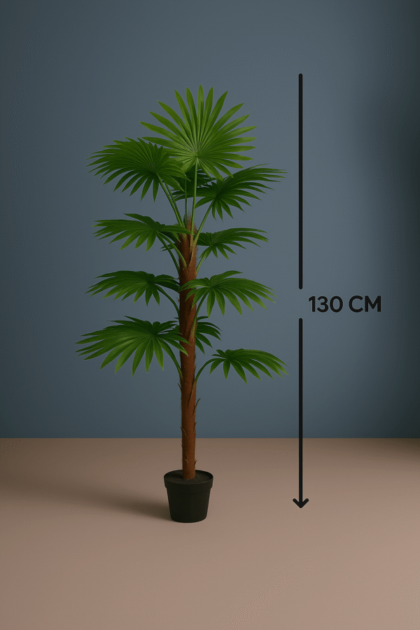 FAN PALM TREE