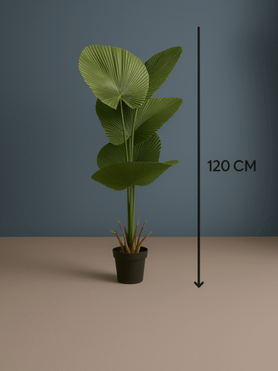 Fan Palm Leaves Plant