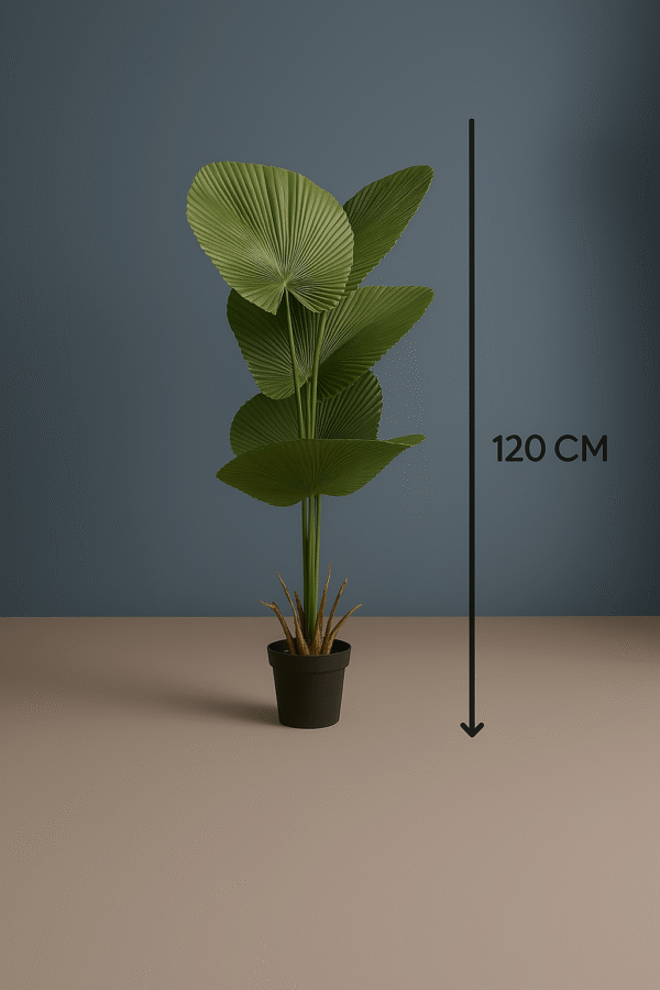 Fan Palm Leaves Plant