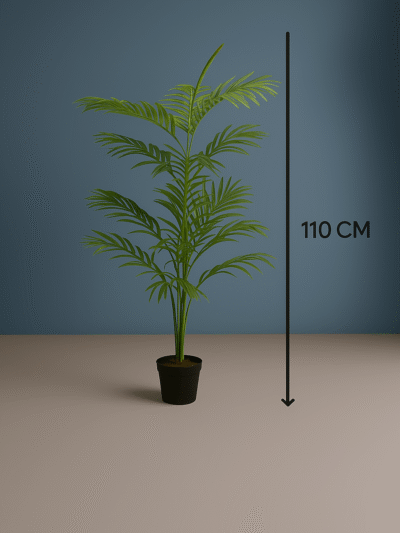 palm