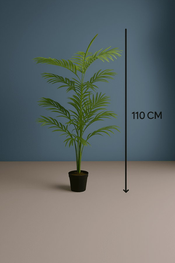 palm