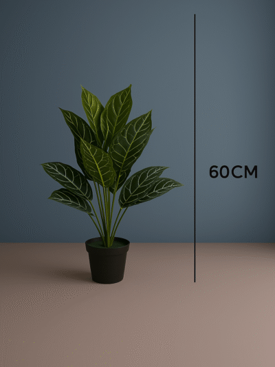 30.png
