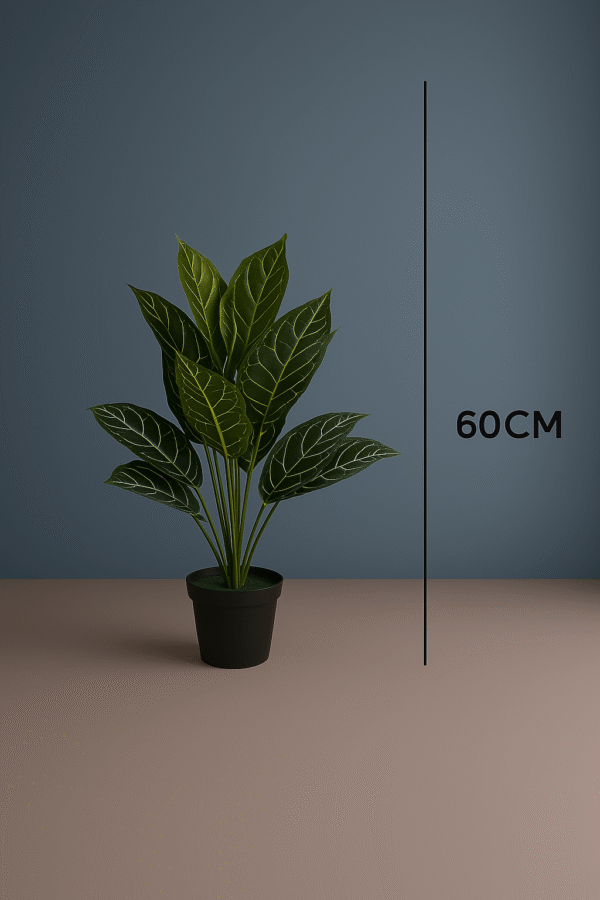 30.png