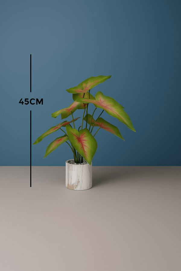 100CM-14.png