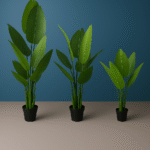 TRAVELER’S BANANA PLANT