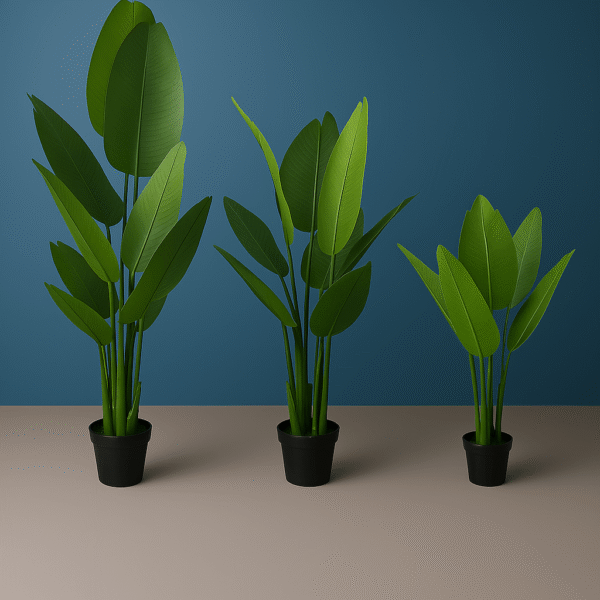TRAVELER’S BANANA PLANT