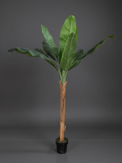 ARTIFICIAL OUTDOOR TREES | FAKE BANANA TREE SALE IN LAGOS