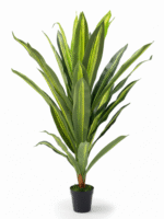 FAUX SINGLE DRACAENA PLANTS | DECORATIVE ARTIFICIAL PLANT