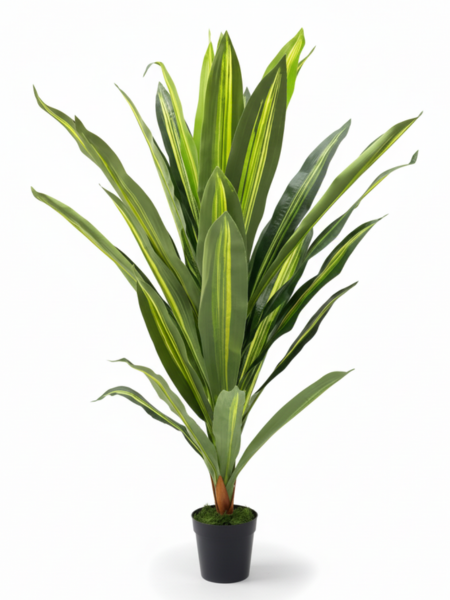 FAUX SINGLE DRACAENA PLANTS DECORATIVE ARTIFICIAL PLANT FAUX SINGLE DRACAENA PLANTS | DECORATIVE ARTIFICIAL PLANT - Image 1