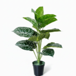 MINI TARO ARTIFICIAL PLANTS | MINI PLANT WHOLESALE  | "Buy Now"