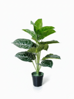MINI TARO ARTIFICIAL PLANTS | MINI PLANT WHOLESALE  | "Buy Now"