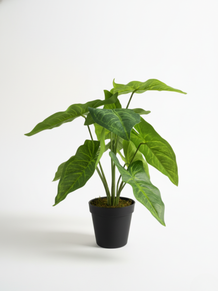 TABLETOP FAKE PLANTS CALADIUM PLANS “ORDER NOW”